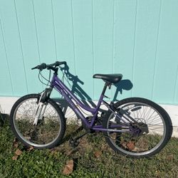 24” Roadmaster Girls Mountain Bike