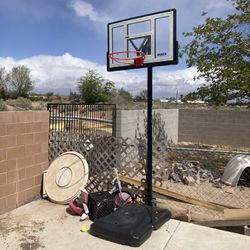 Lifetime Basketball Hoop System 