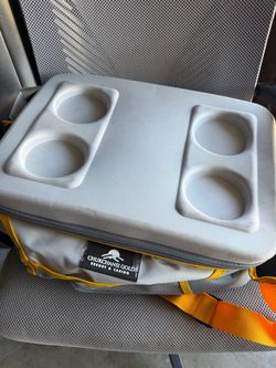 Collapsible cooler