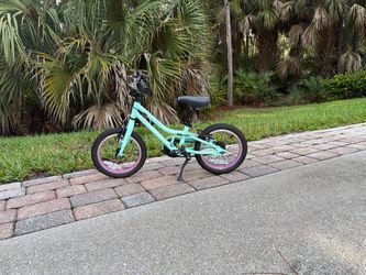 Guardian 14” Bike