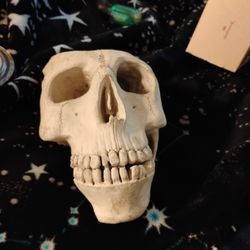 Skull Statue