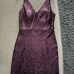 Purple Shinny Fitted Dress