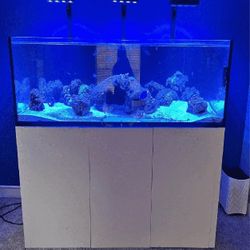 Massive Aquarium Tank - Wide & Stunning Display key model