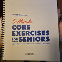 5 Minute CORE exercise For Seniors