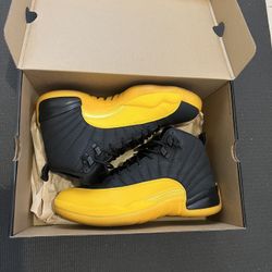 Air Jordan 12 
