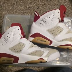 alternate jordan retro 6 (9 M)