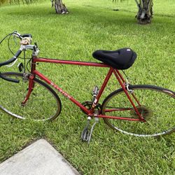RALEIGH BIKE