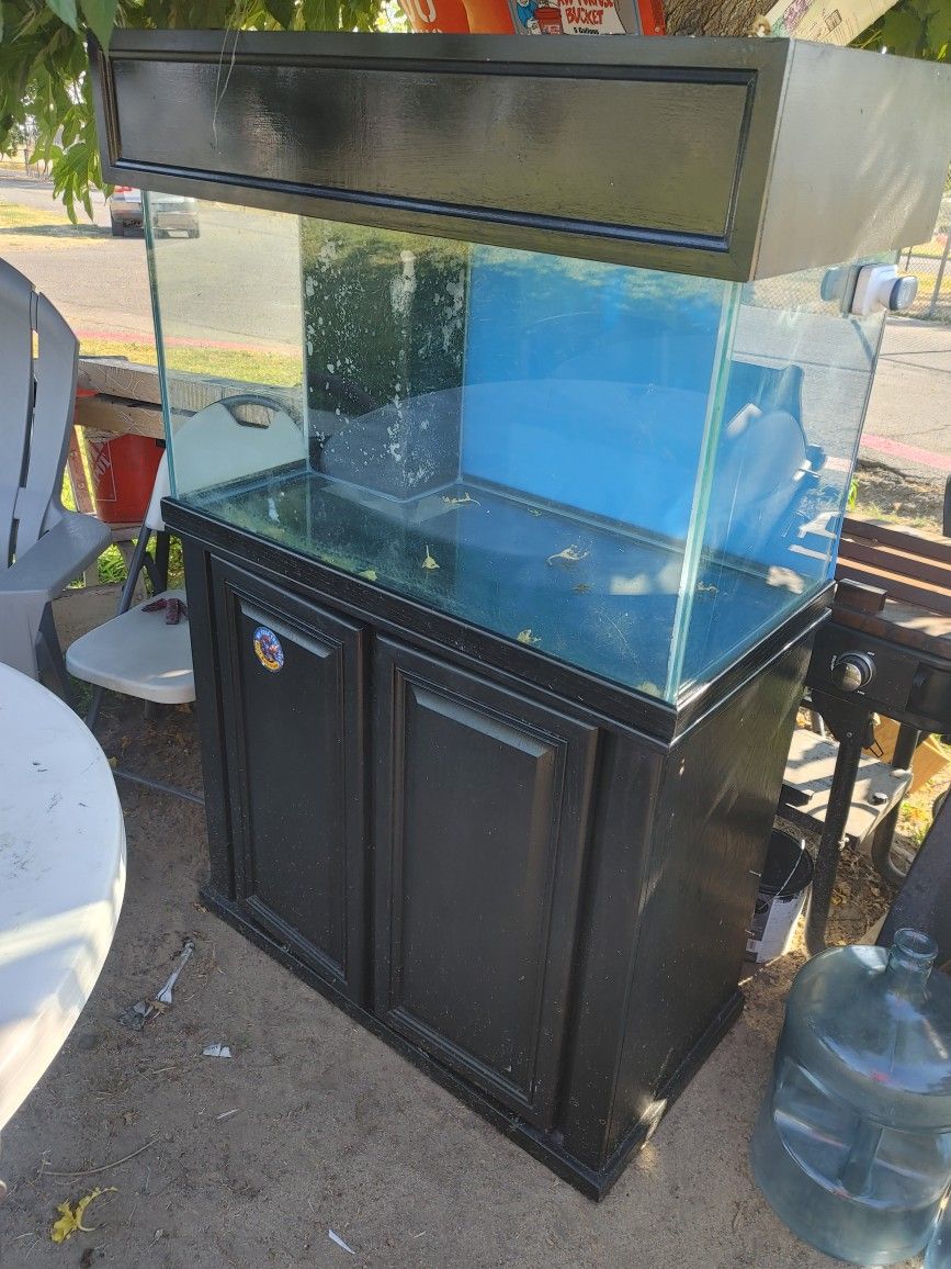 Aquarium Fish Tank
