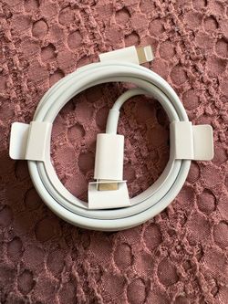 Apple old school Charger new