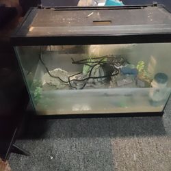 20 Gallon Fish Tank 