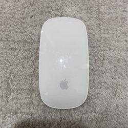 Apple Wireless Magic Mouse