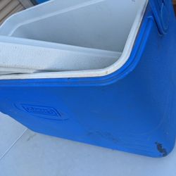 Coleman Medium/Large Cooler