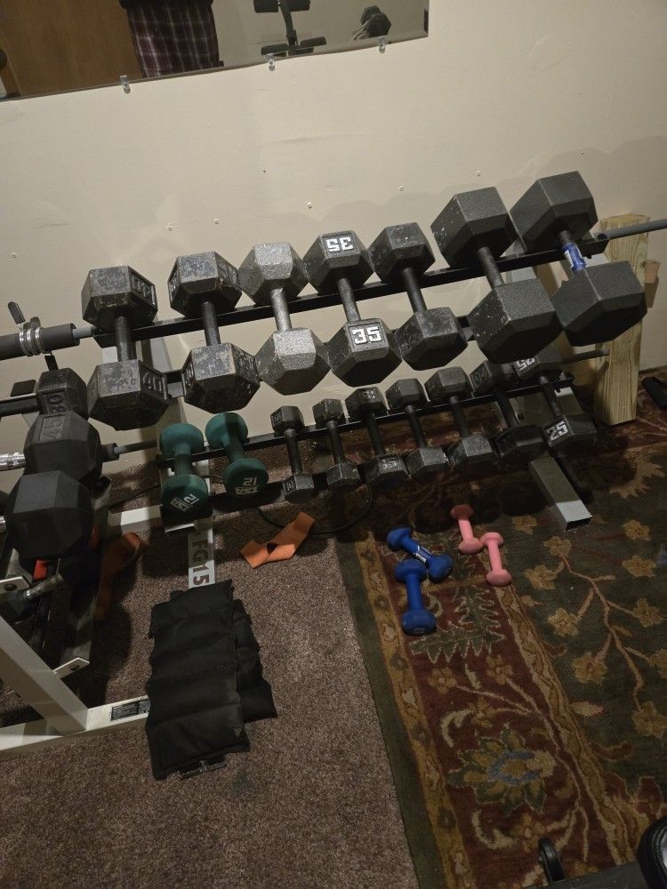 Dumbbells And Free Weights And Bench