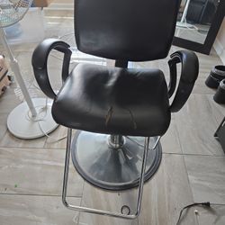 Salon Chair