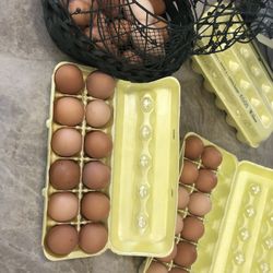 Farm Fresh Eggs