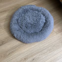 Pet Bed