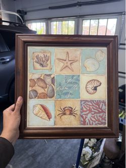 Seashell artwork