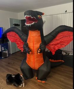 $60, Adult Inflatable Halloween Dragon Costume