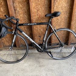 Road Bikes - 2009 Mercier Corvus