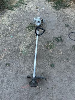 Echo Weedeater