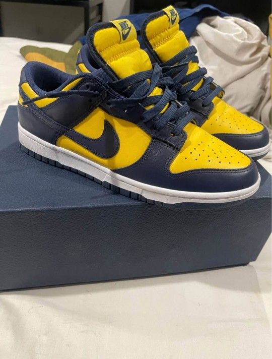 Michigan Dunks 