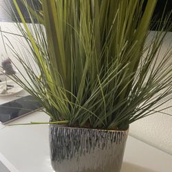 Fake Plant decor