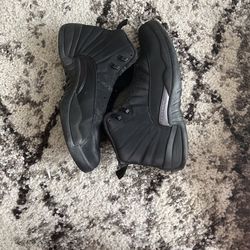 Air Jordan 12 Winter 
