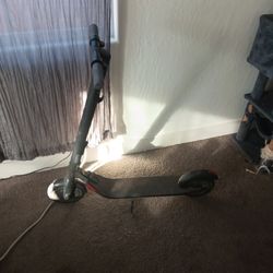 Segway Ninebot Scooter