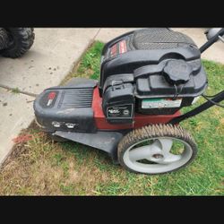 Craftsman trimmer online mower