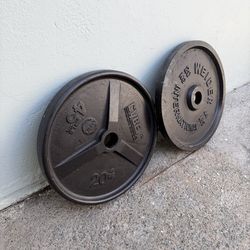 2x 45 lb Plates – Heavy Duty Strength Training Weights (90 lbs Total)