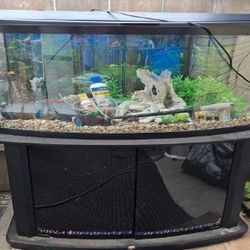 Complete Aquarium Kit – Discover an Underwater World east remember