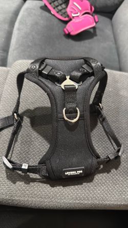 Small dog harness