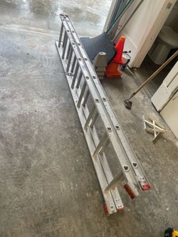 Ladders Free