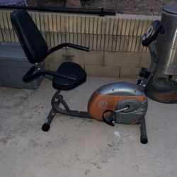  Recumbent Exercise