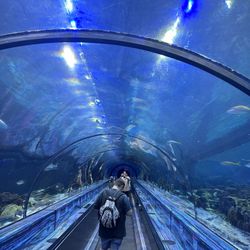 Seaworld Tickets/ aquatica 