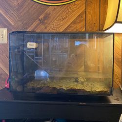 All In One Tank