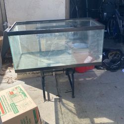 Fish Tank 3ft /1.5 Ft 