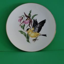 Barvaria Schumann Arzberg Germany 7 1/4" Plate Yellow Bird and Pink Flower Gold Trim 