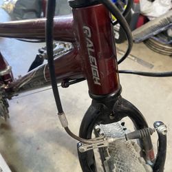 Raleigh Bike 