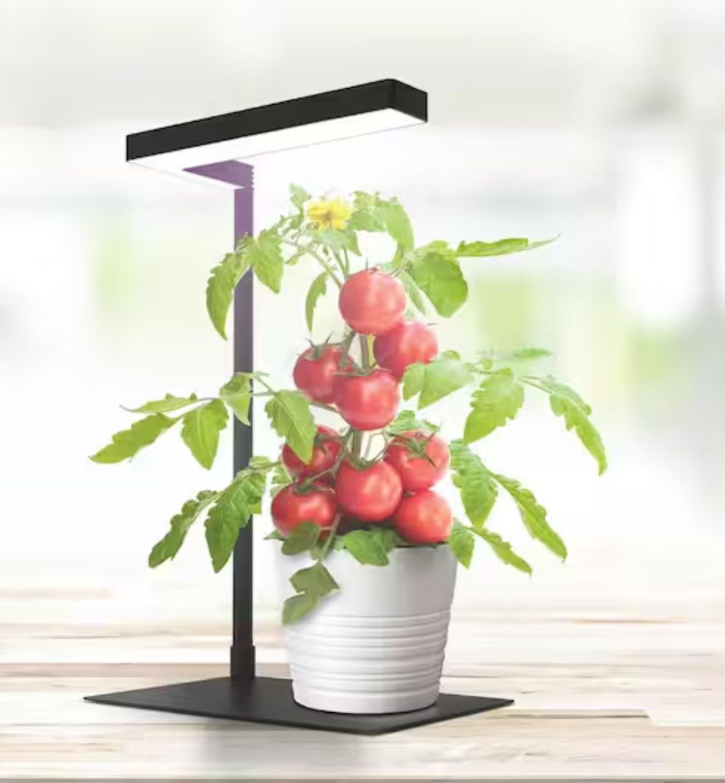 Vegetation Table Top Grow Light 