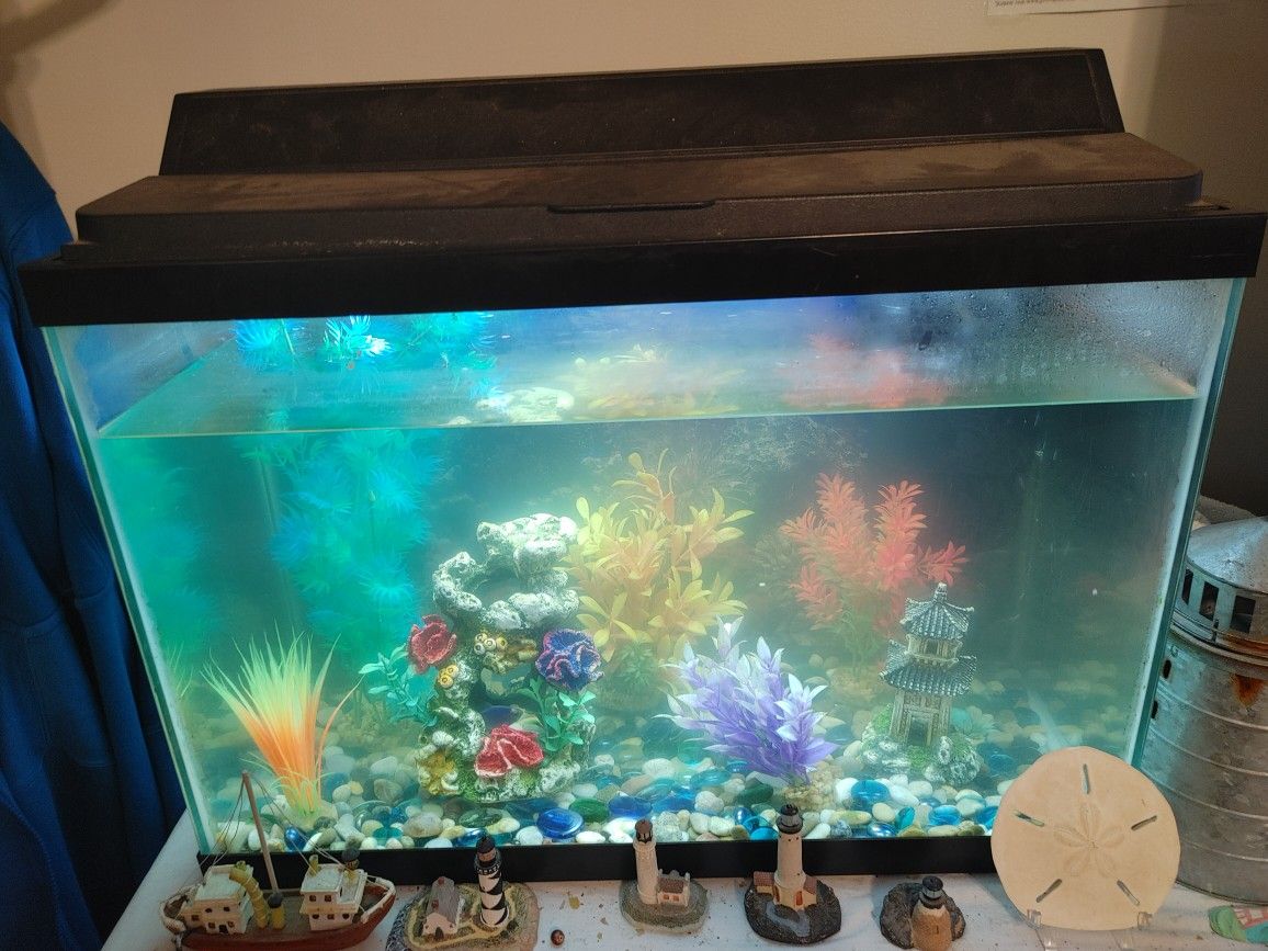 Glow Fish Tank And Supplies