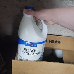Bleach
