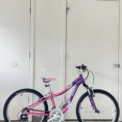 Specialized Hotrock Mountain Kids Bike 24”