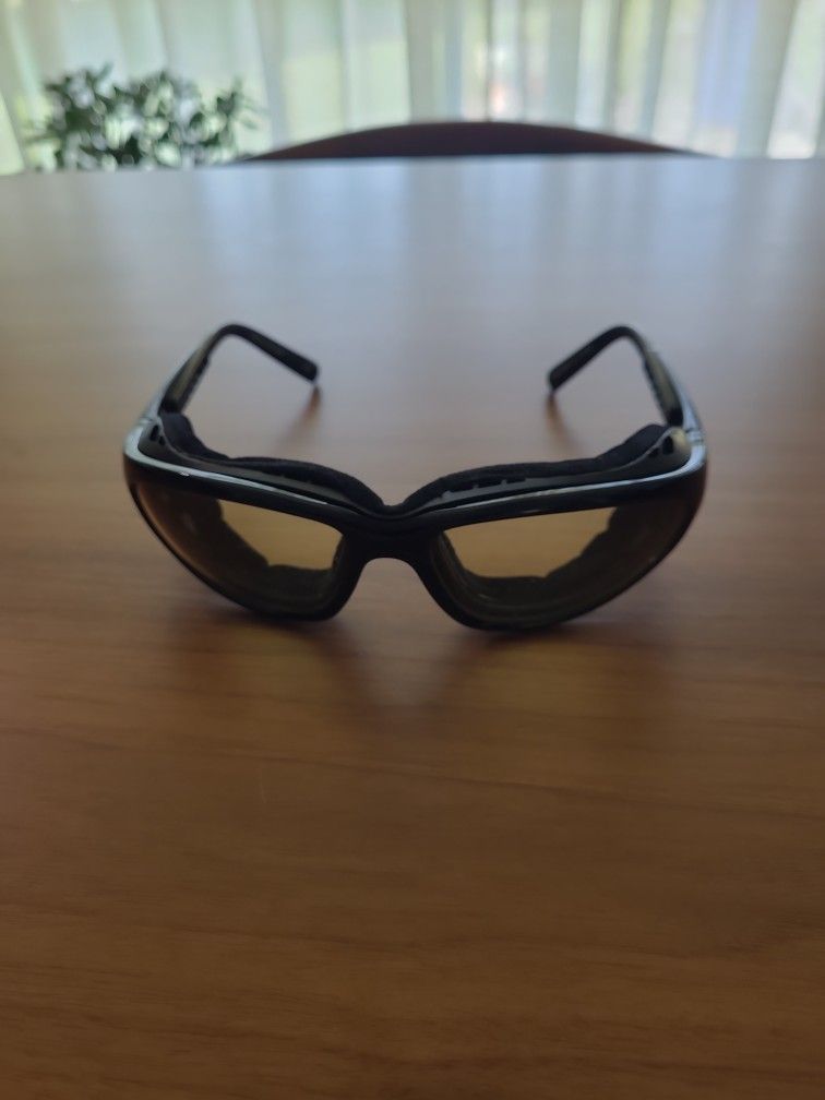 Panoptx Raptor Sunglasses