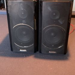 Sharp CP-BH250 Carbon Fiber Wrapped Speakers 90s - Black