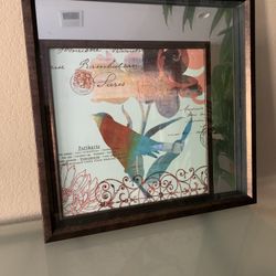 Bird Frame