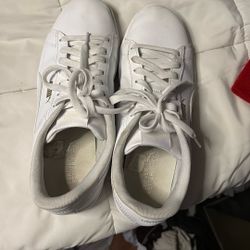 white pumas 