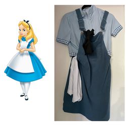 Alice In Wonderland DIY Costume 