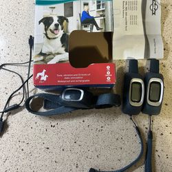 Pet Safe Training Collar 