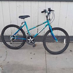 Mountain Bike